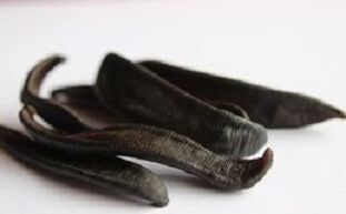 Dried leeches to make ointment.