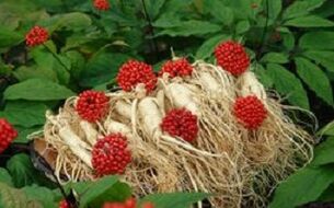 Ginseng increases blood flow to the penis.
