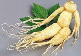 Ginseng root to make infusion